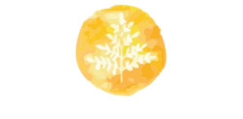 RISE Resource Center logo